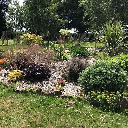 Le Jardin Des Fees Bed & Breakfast Savigny-le-Vieux Dış mekan fotoğraf