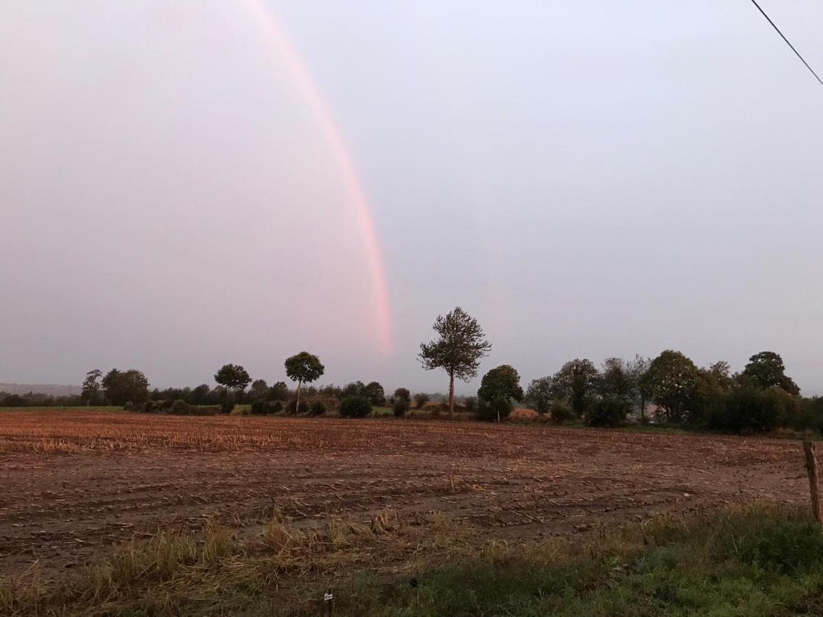 Le Jardin Des Fees Bed & Breakfast Savigny-le-Vieux Dış mekan fotoğraf