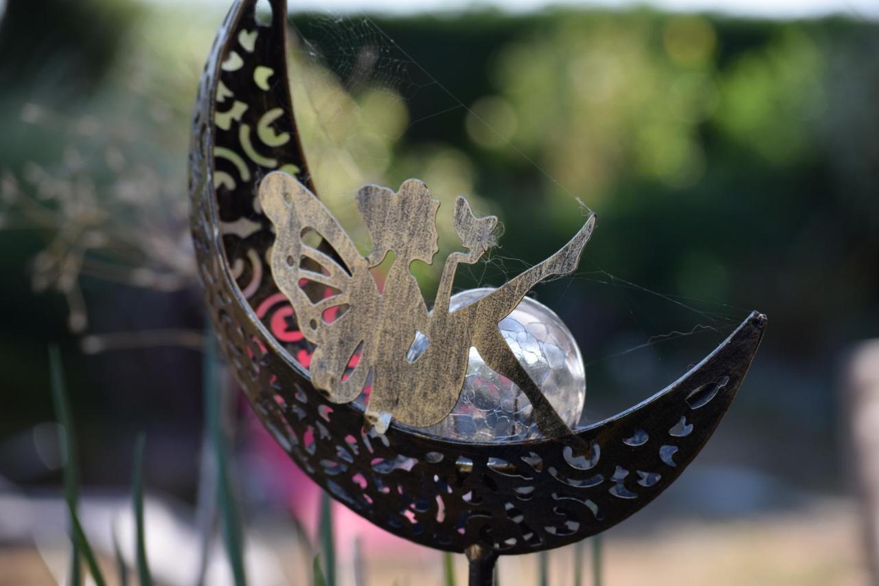 Le Jardin Des Fees Bed & Breakfast Savigny-le-Vieux Dış mekan fotoğraf